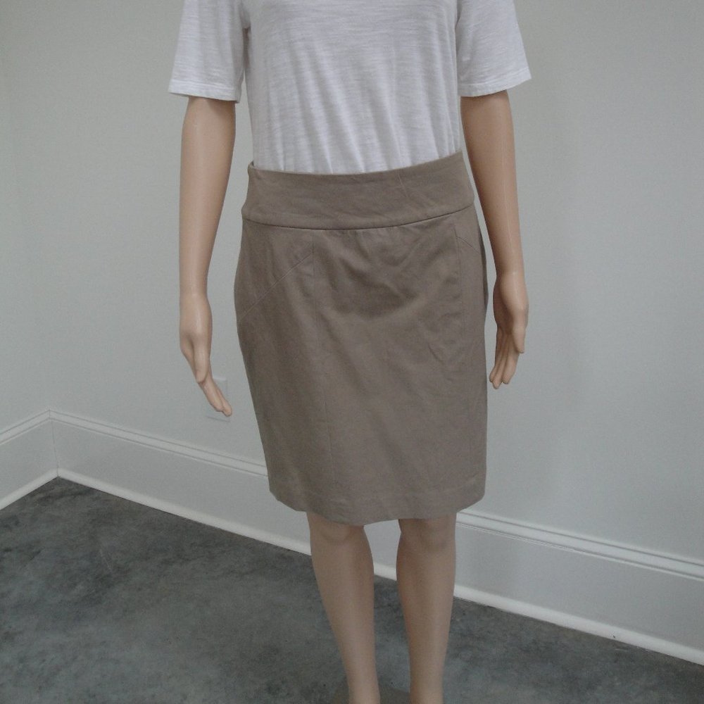 Banana Republic Skirt